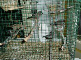 photo coins arrondis